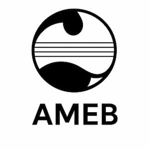 Music Teaching Online